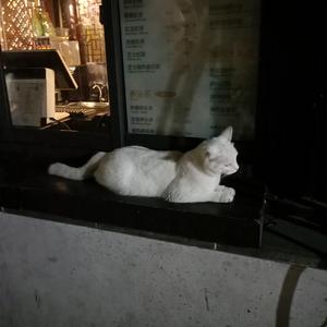 老熟女60岁大战小伙子
