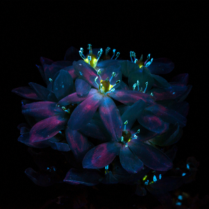 老熟女60岁大战小伙子
